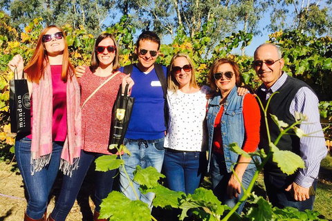 Swan Valley Tour From Perth: Wine, Beer And Chocolate Tastings - Accommodation Batemans Bay 2