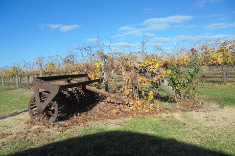 Swan Valley Tour From Perth: Wine, Beer And Chocolate Tastings - Accommodation Batemans Bay 3