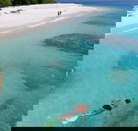 Fitzroy Island Day Trip from Cairns - Accommodation Batemans Bay