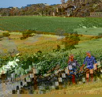 10 Day Perth to Adelaide Private Tour - The Great Australian Wilderness Journey - Accommodation Batemans Bay