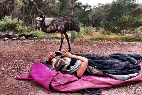 6 Day Esperance & Margaret River Adventure Tour - Accommodation Batemans Bay 5