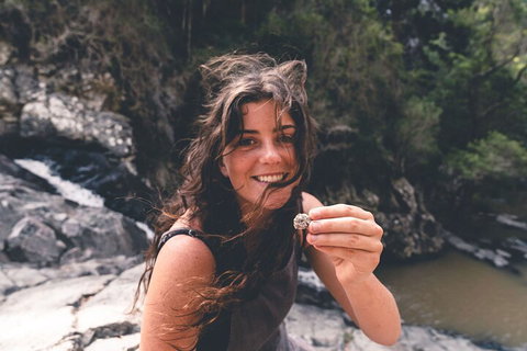 Springbrook AndTamborine Rainforest Tour Incl Natural Bridge And Glow Worm Cave - Accommodation Batemans Bay 1