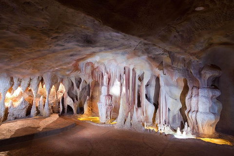 Springbrook AndTamborine Rainforest Tour Incl Natural Bridge And Glow Worm Cave - Accommodation Batemans Bay 4