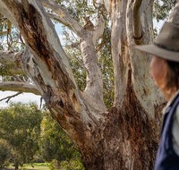 NEW TOUR - Kangaroo Island Road to Recovery Tour 1 Day/1 Night - Accommodation Batemans Bay
