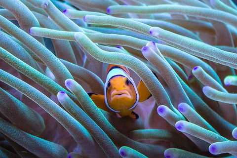 General Admission Entry At AQWA - Accommodation Batemans Bay 4