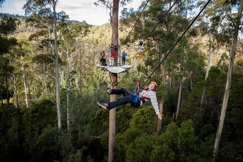 Hollybank Wilderness Adventure - Zipline Tours - Accommodation Batemans Bay 0