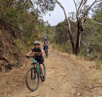 Mount Lofty Descent Bike Tour from Adelaide - Accommodation Batemans Bay