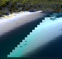 All-Inclusive Fraser Island Day Tour - Accommodation Batemans Bay