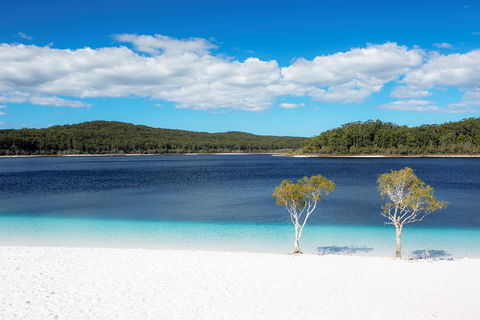All-Inclusive Fraser Island Day Tour - Accommodation Batemans Bay 3