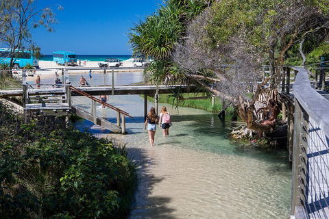 All-Inclusive Fraser Island Day Tour - Accommodation Batemans Bay 4