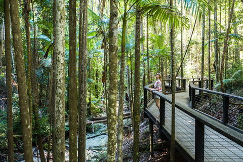 All-Inclusive Fraser Island Day Tour - Accommodation Batemans Bay 5