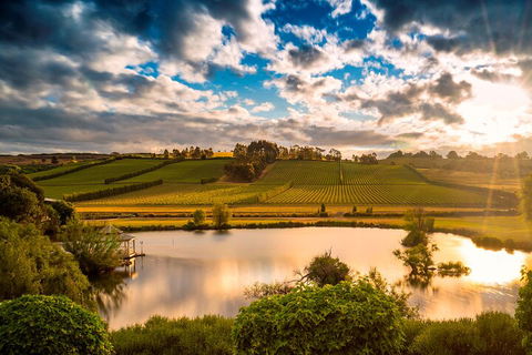 Josef Chromy Wines Winery Tour Including Tasting And Lunch - Accommodation Batemans Bay 3