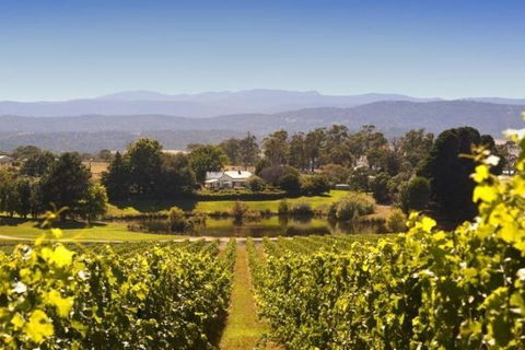 Josef Chromy Wines Winery Tour Including Tasting And Lunch - Accommodation Batemans Bay 4