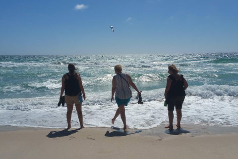 Very Best Of Perth Tour - Wildlife Park & City Highlights Tour - Accommodation Batemans Bay 5