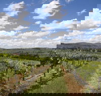 Hunter Valley Wine Tour from Sydney incl Lunch Cheese Chocolate and Distillery - Accommodation Batemans Bay