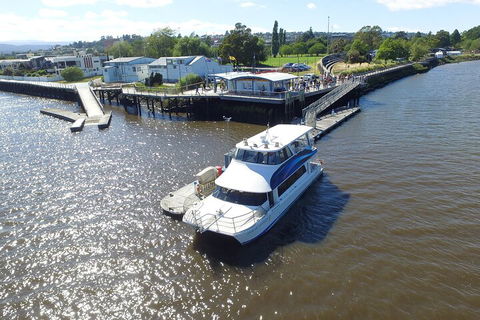 2.5 Hour Morning Discovery Cruise Including Sailing Into The Cataract Gorge - Accommodation Batemans Bay 3