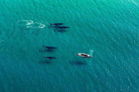 25-30 Minute Newcastle & Macquarie Helicopter Shared Flight - Accommodation Batemans Bay 4