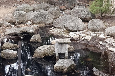 Bendigo, Echuca & The Mighty Murray - Accommodation Batemans Bay 1