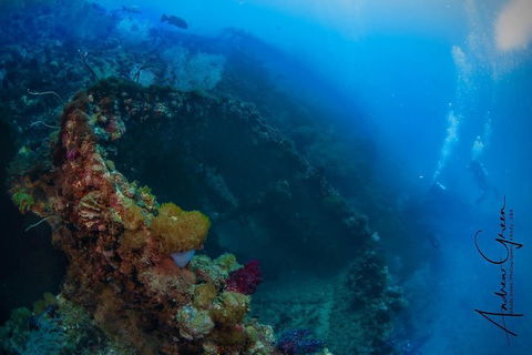 Scuba Dive The S.S. Yongala Wreck On The Great Barrier Reef. - Accommodation Batemans Bay 3
